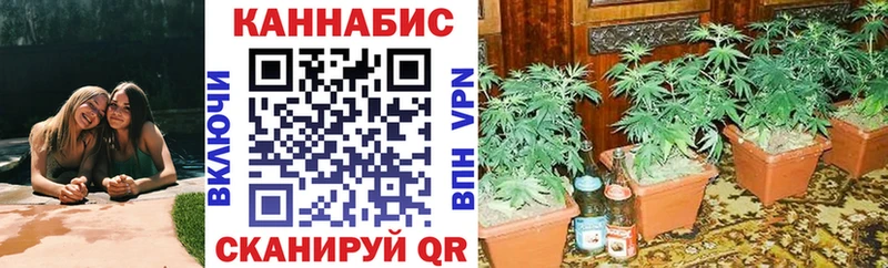 Бошки марихуана индика  MEGA ссылка  Черкесск  купить наркотик 